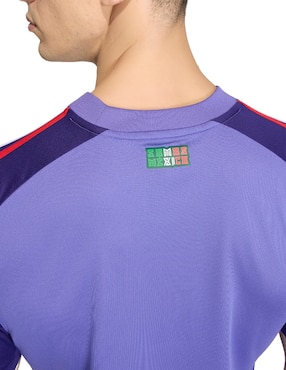 Playera FIFA World Cup Federación México cuello redondo para hombre