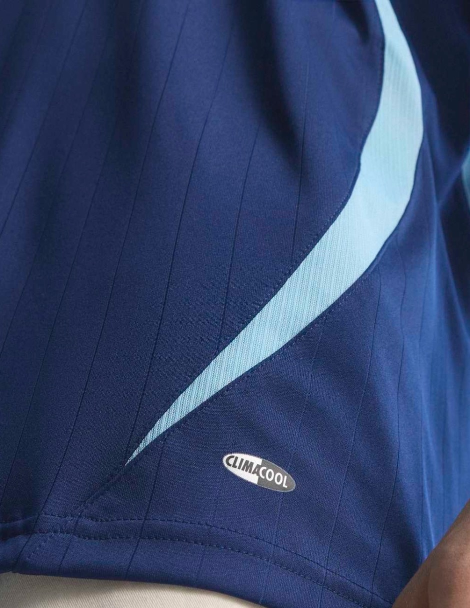 Playera Argentina Afa cuello redondo para hombre 11