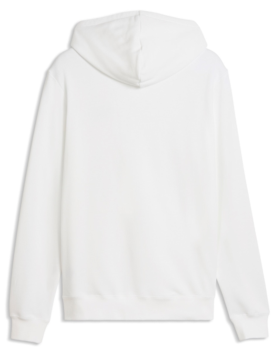 Sudadera ESS 2 COLOR Small no 1 Logo Hoodie TR para hombre 2