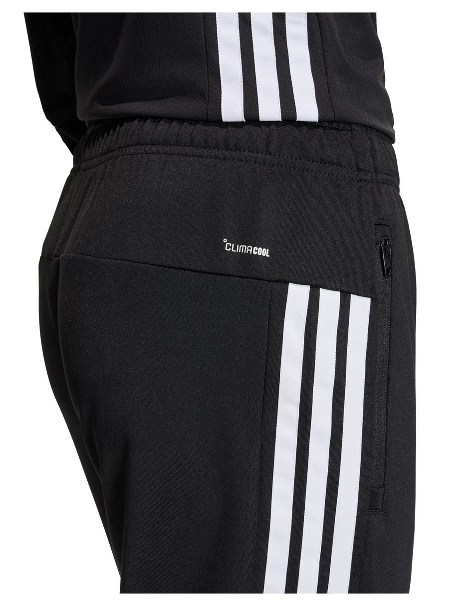 Pants regular con elástico para hombre 5